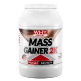 WHYSPORT - MASS GAINER 2K